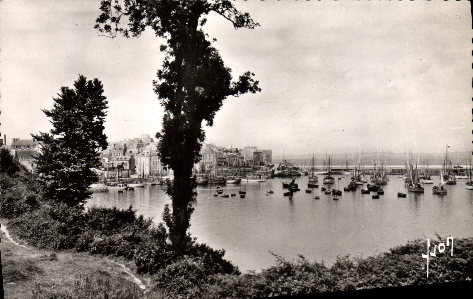MODERN CARD Douarnenez the Port Seen Of Plomarch Boats