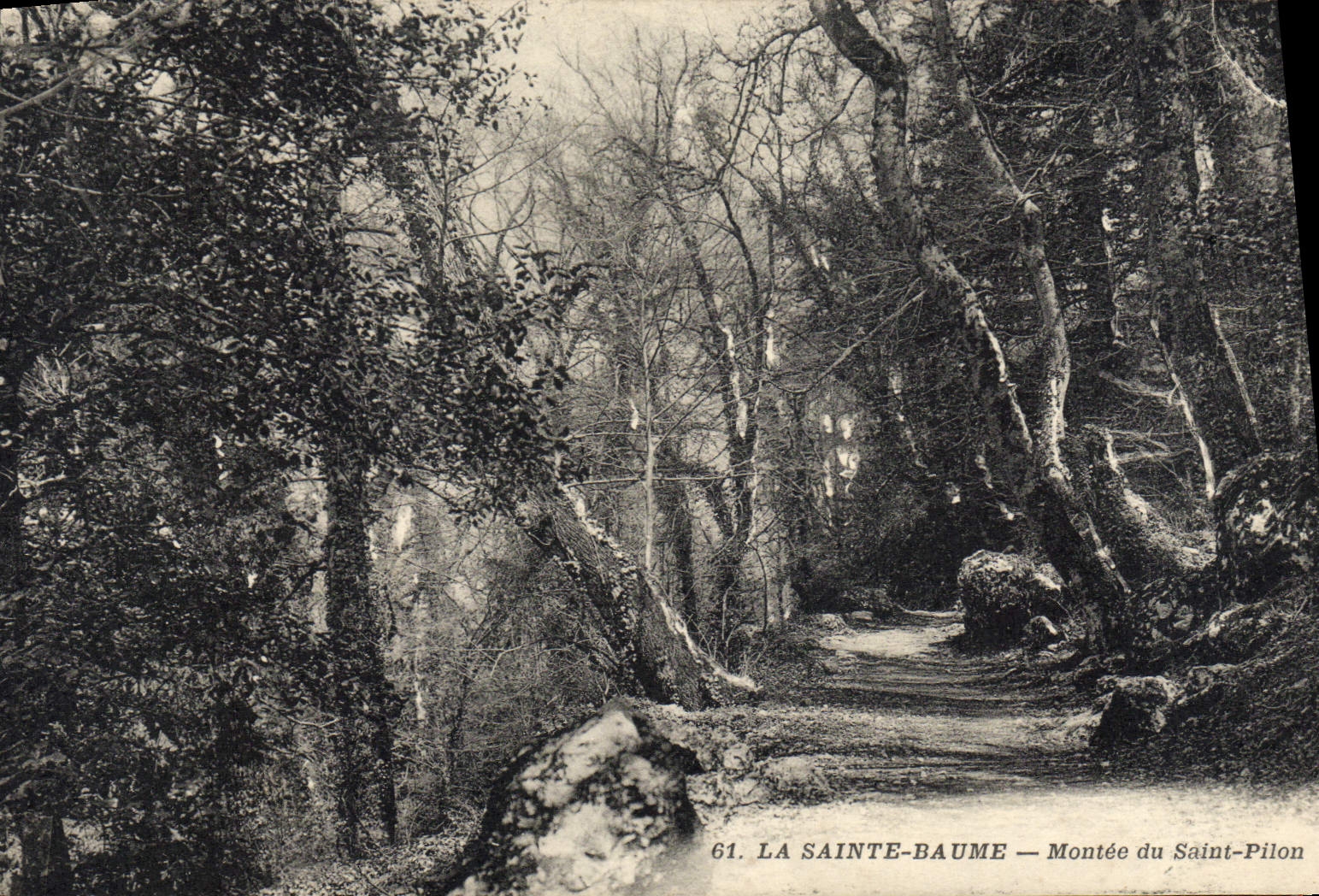 CPA La Sainte Baume Montee A Saint Pilon