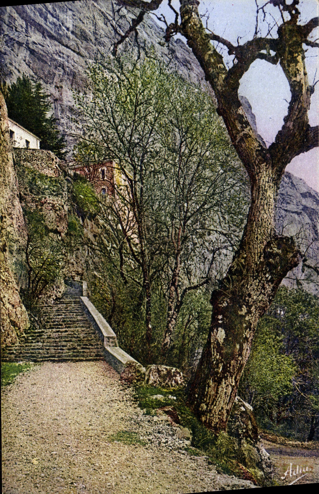 CPA La Sainte Baume Montee de la grotte