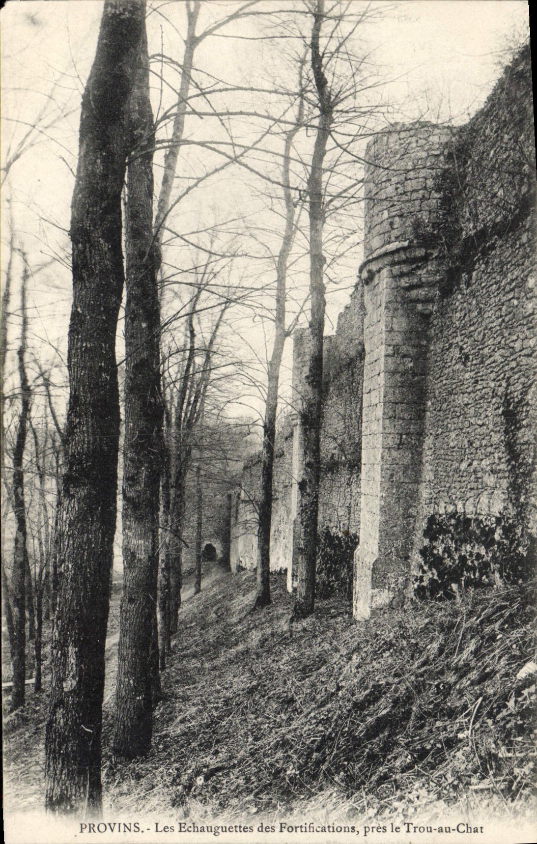 VINTAGE POSTCARD Layered branches Watch towers Of the Fortifications close the Hole with the cat