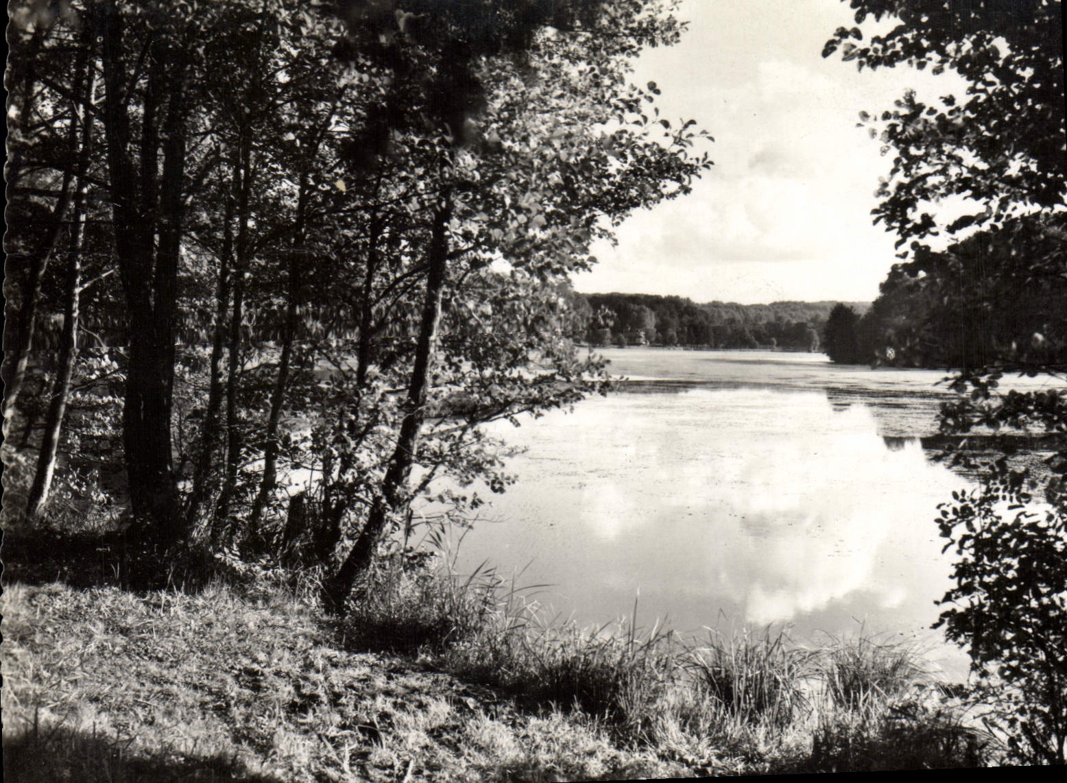 CPM Environs De Pierrefonds Etang De St Pierre