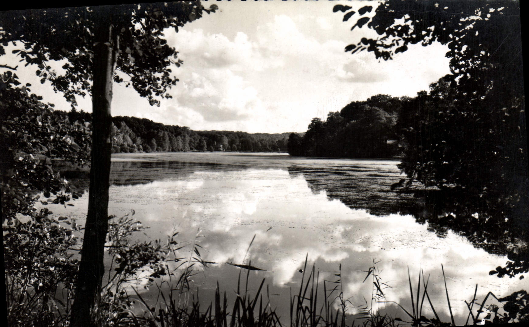 CPM Environs De Pierrefonds Etang De St Pierre