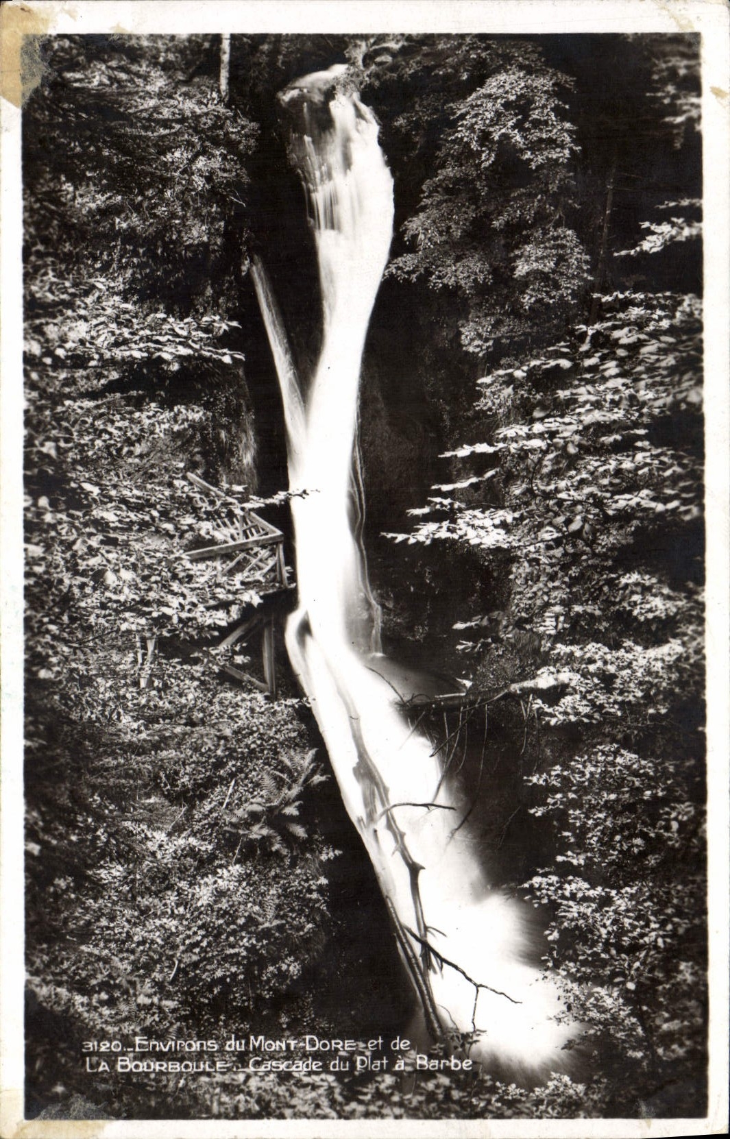 CPA Environs Du Mont Dore Et De La Bourboule Cascade Du Plat A Barbe