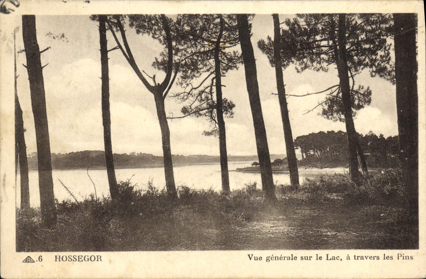 VINTAGE POSTCARD Hossegor View On the Lake Through the Pines