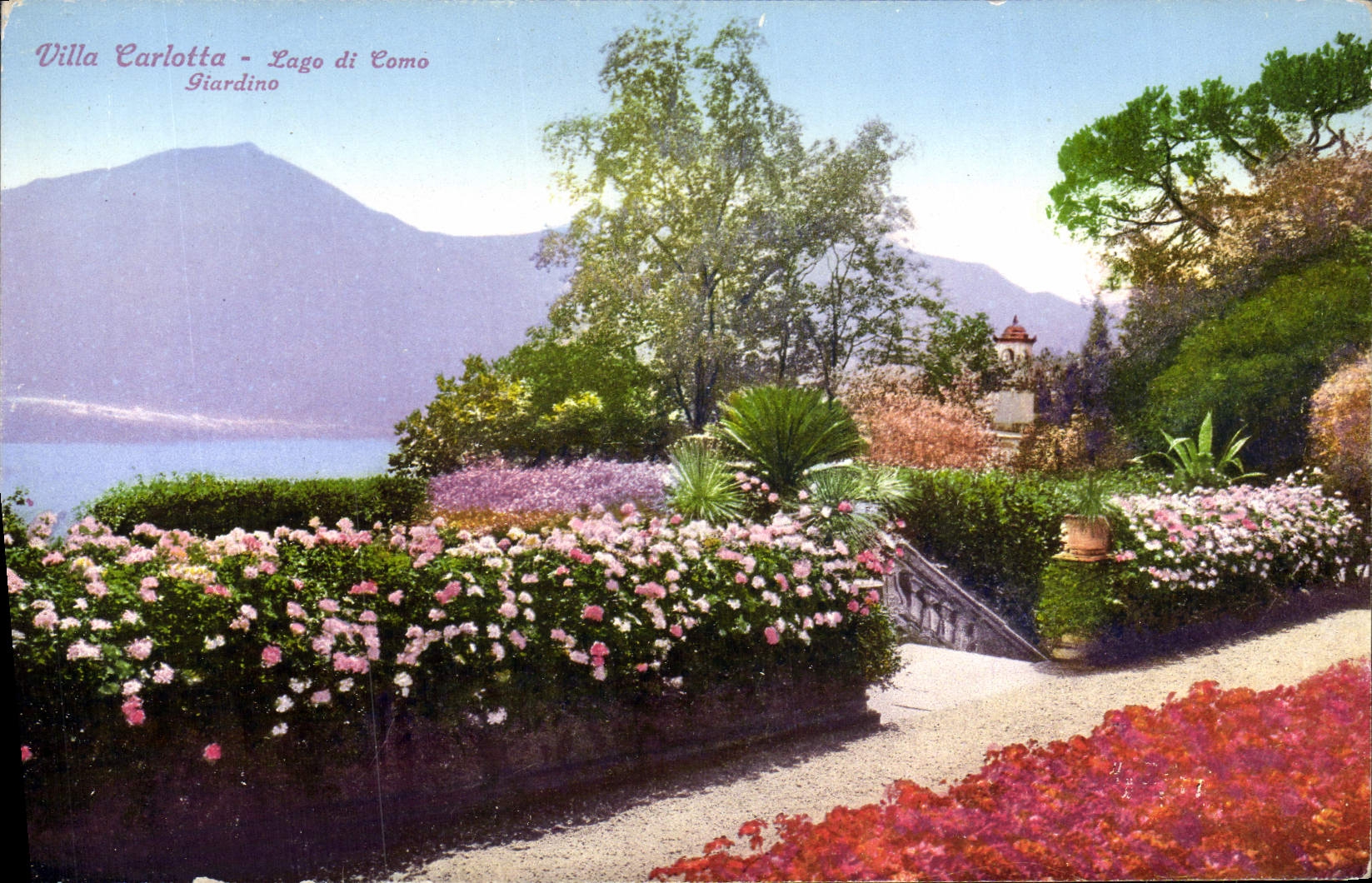 VINTAGE POSTCARD Villa Carlotta Lago Di Como Giardino