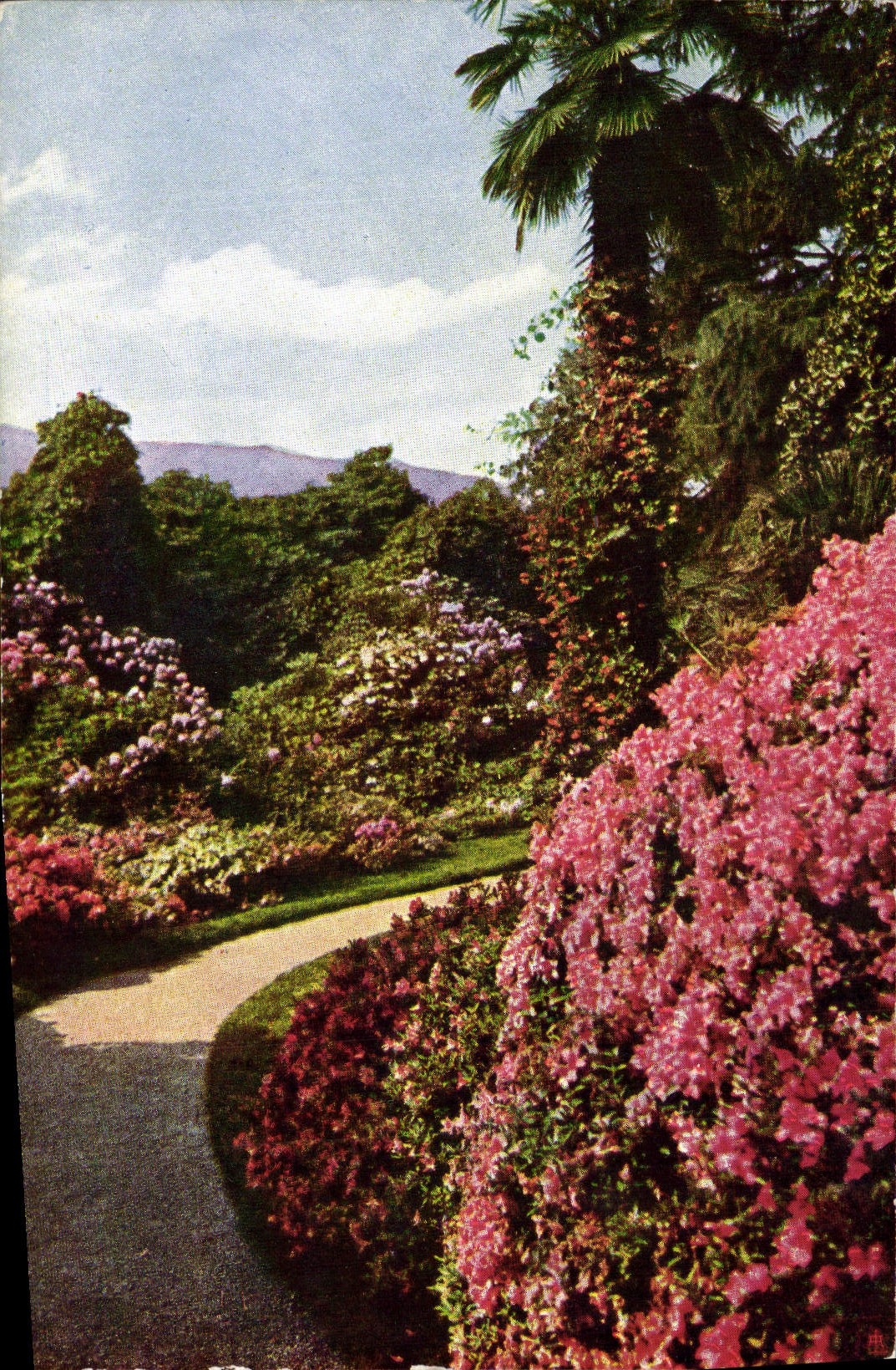 CPA Villa Carlotta Tremezzina Cadenabbia Lago di Como