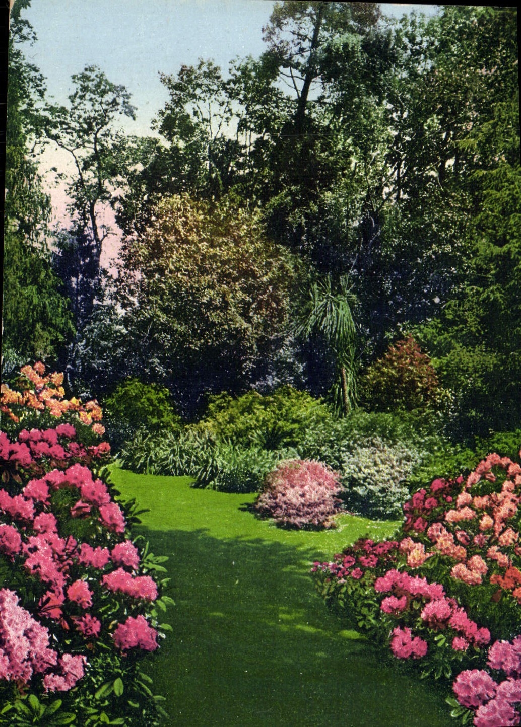 VINTAGE POSTCARD Lago Di Como Cadenabbia