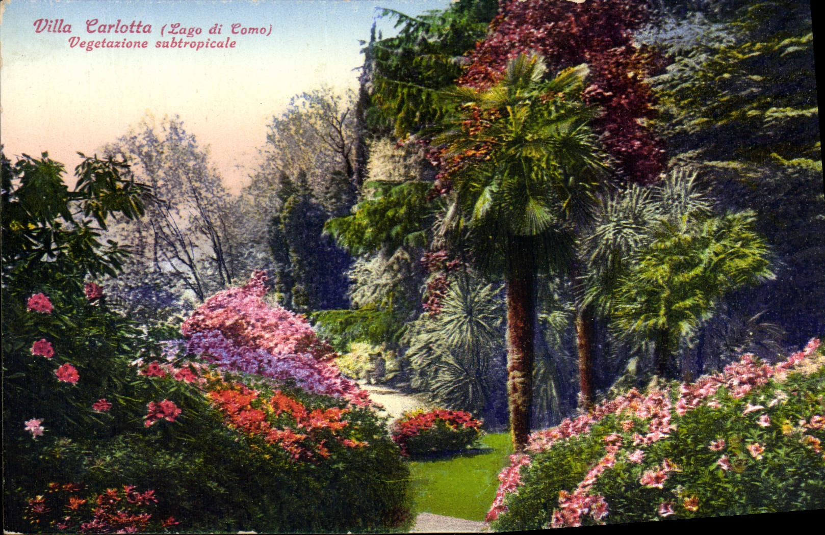 VINTAGE POSTCARD Subtropical Villa Carlotta Lago Di Como Vegetazione