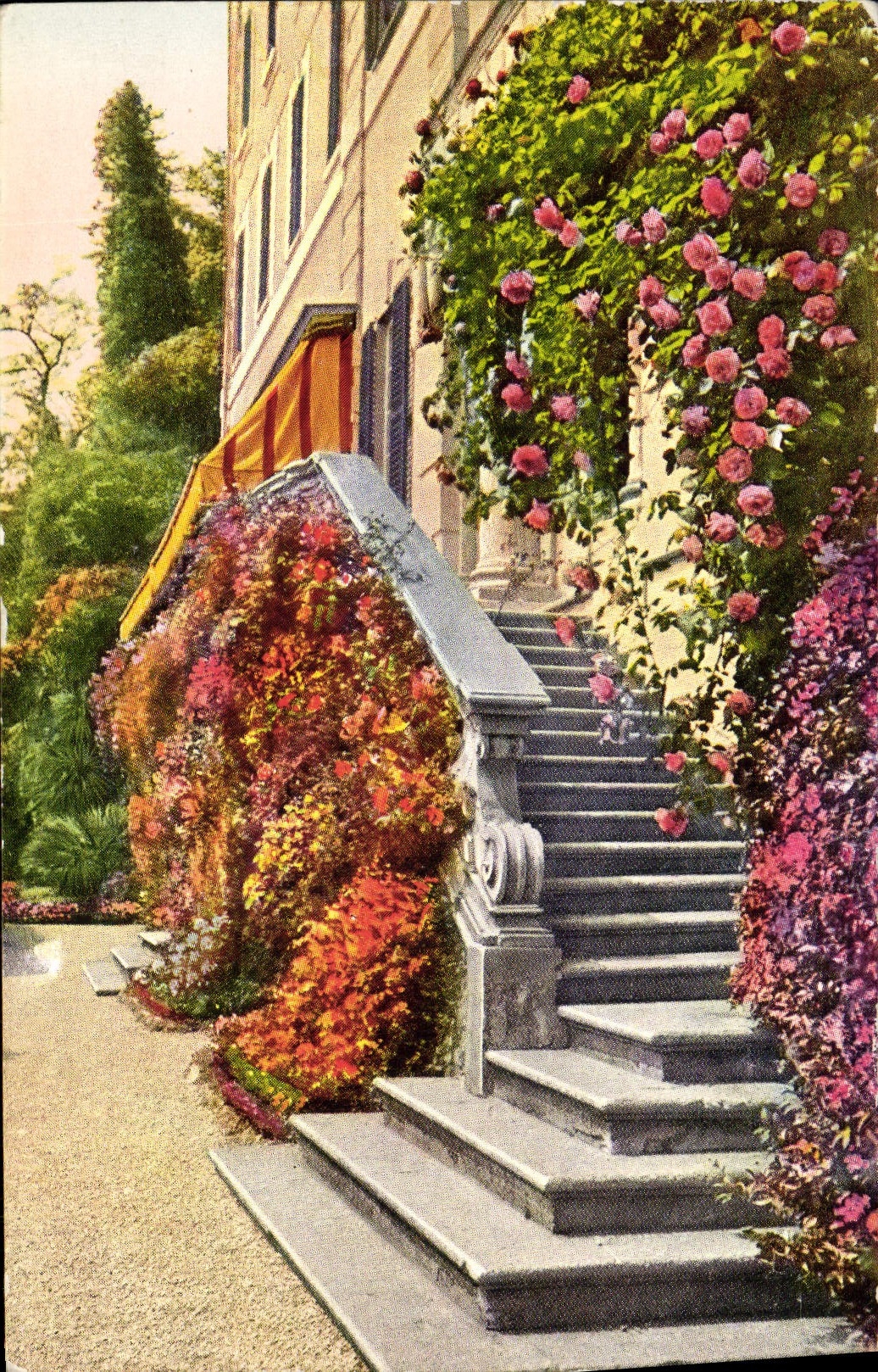 VINTAGE POSTCARD Lago Di Como Cadenabbia Giardino Carlotta Villa