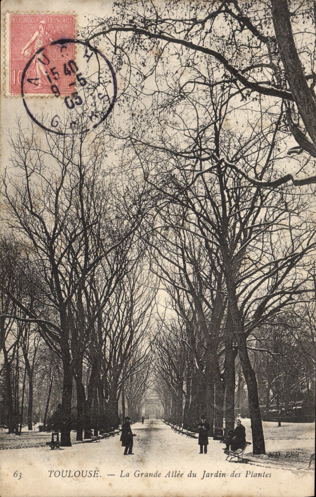 VINTAGE POSTCARD Toulouse the Large Alley of the Botanical garden