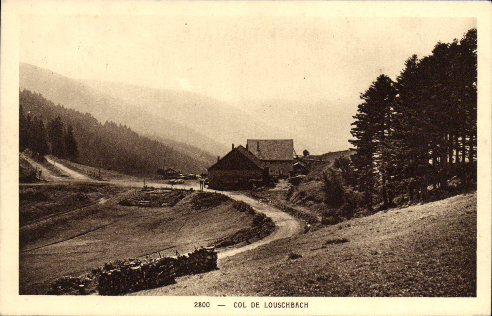 VINTAGE POSTCARD Collar De Louschbach