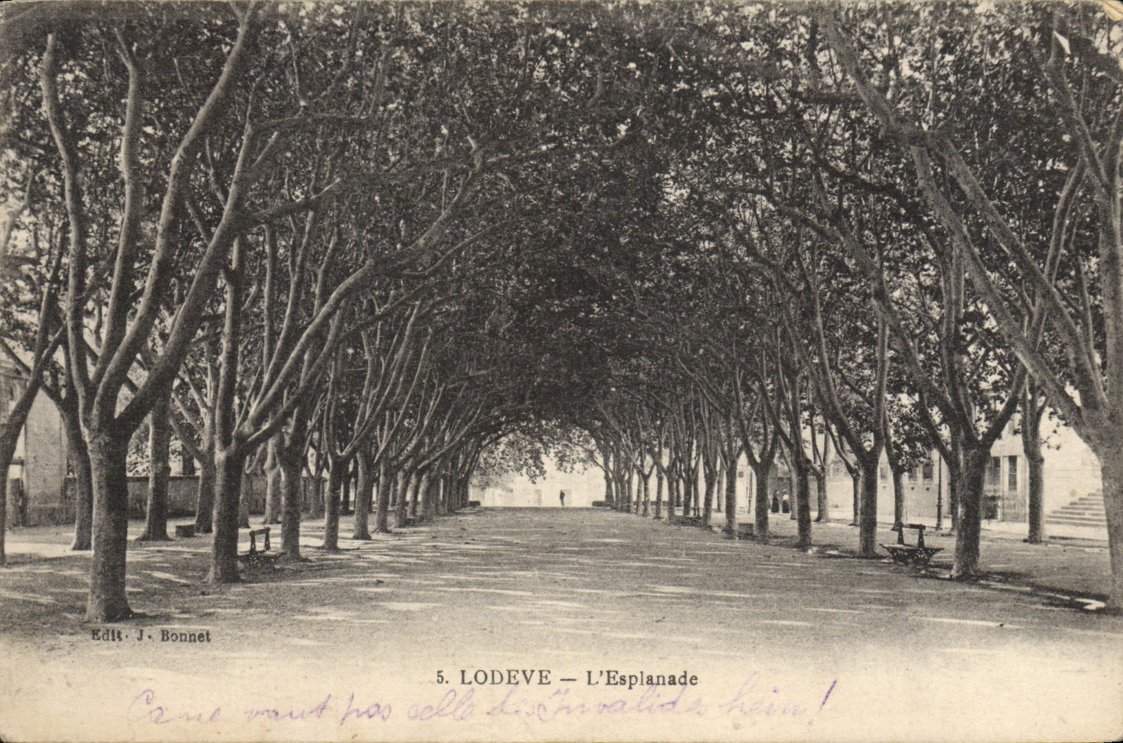VINTAGE POSTCARD Lodeve the Esplanade
