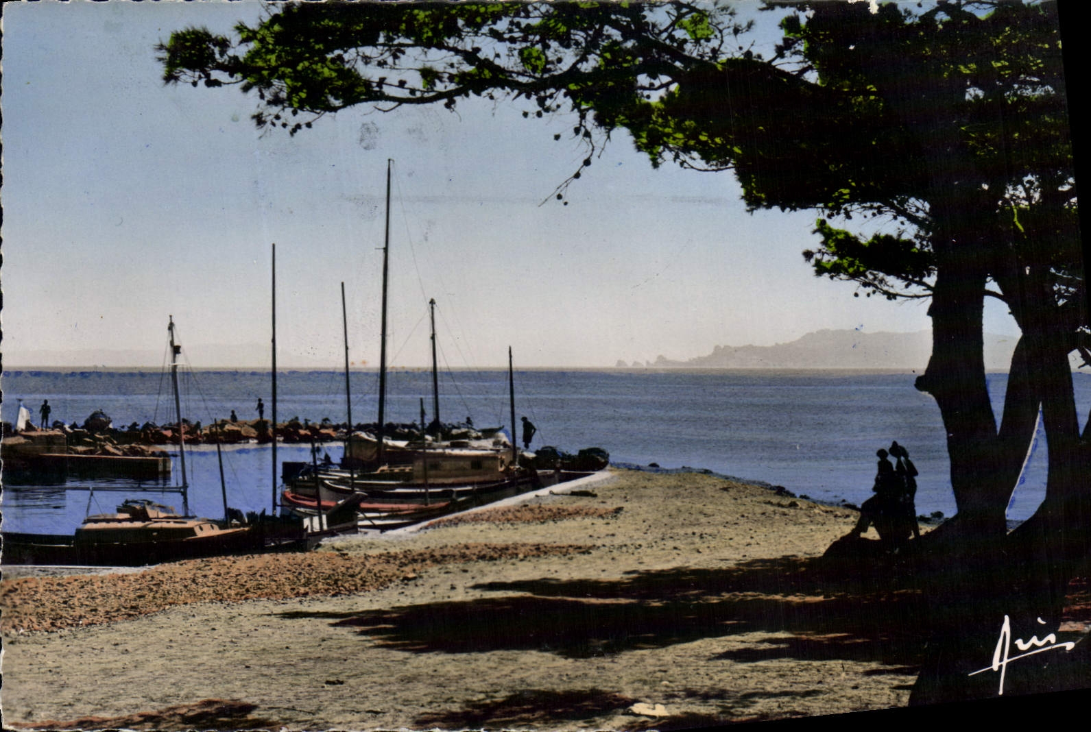 MODERN CARD Presqu'île of Giens Collects It the port