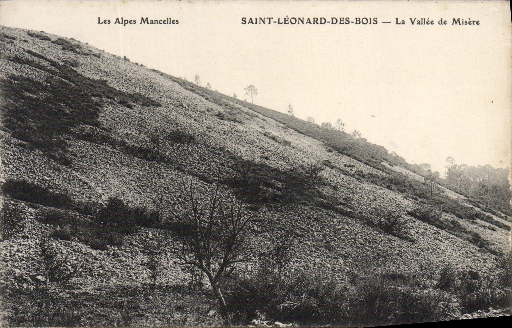 VINTAGE POSTCARD Holy Leonard Of Wood the Valley of Misery