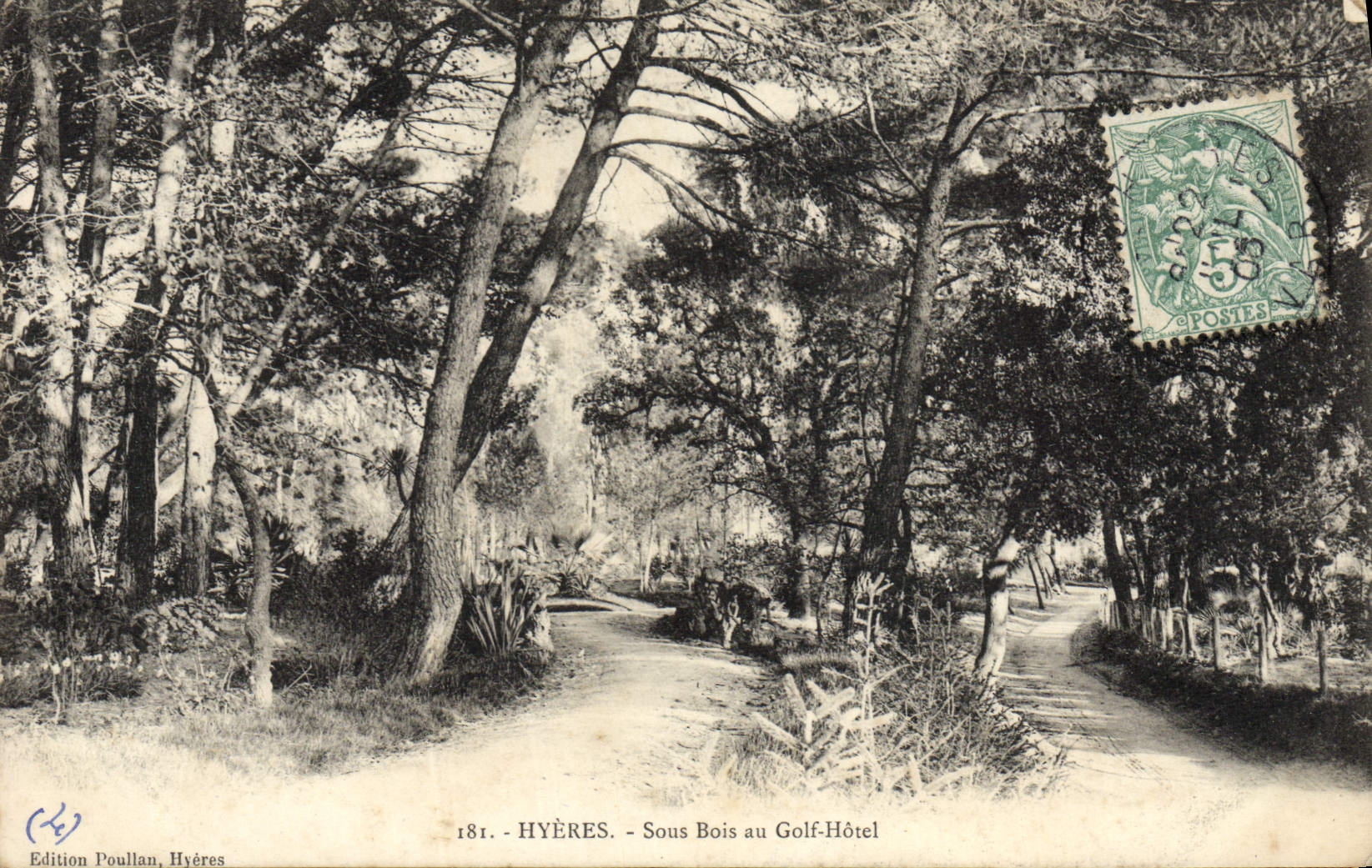 POSTAL Hyeres de la VENDIMIA debajo de la madera con el hotel del golf