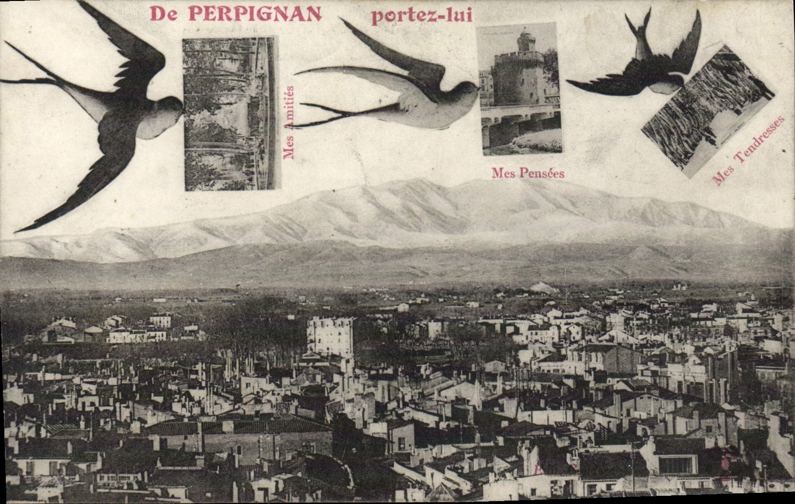 VINTAGE POSTCARD From Perpignan Carry Him