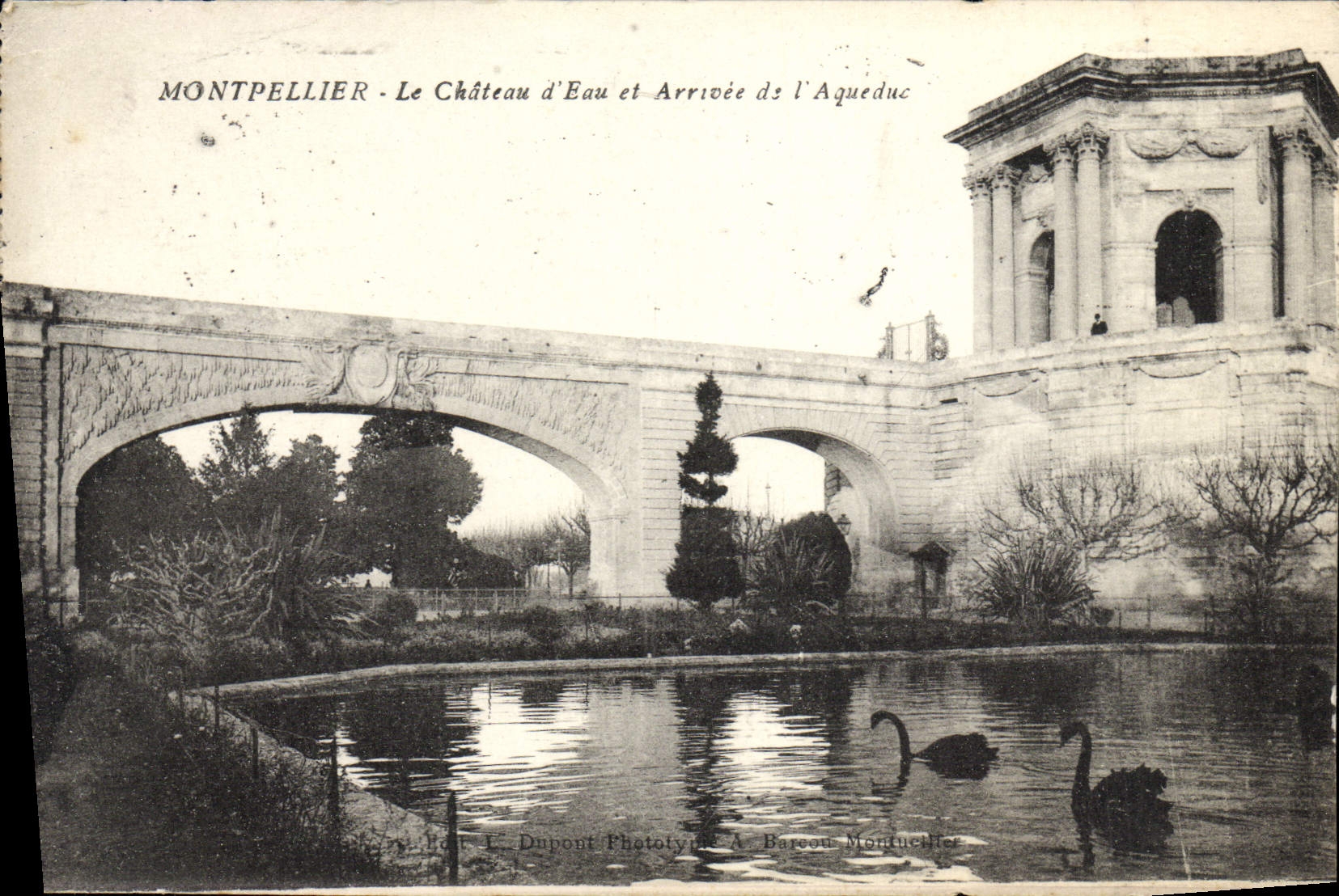 VINTAGE POSTCARD Montpellier the water Tower and Arrival of the aqueduct Black Swan