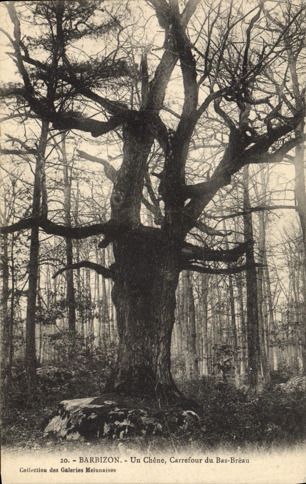 VINTAGE POSTCARD Barbizon a Oak Crossroads of Low Breau