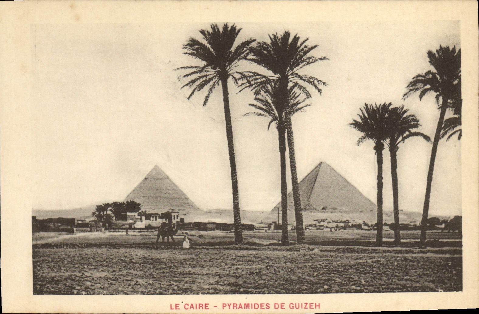 VINTAGE POSTCARD Cairo Pyramids De Guizeh Egypt Egypt