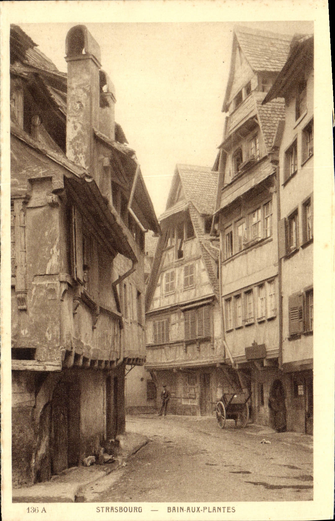 Baño de Estrasburgo de la POSTAL de la VENDIMIA con las plantas