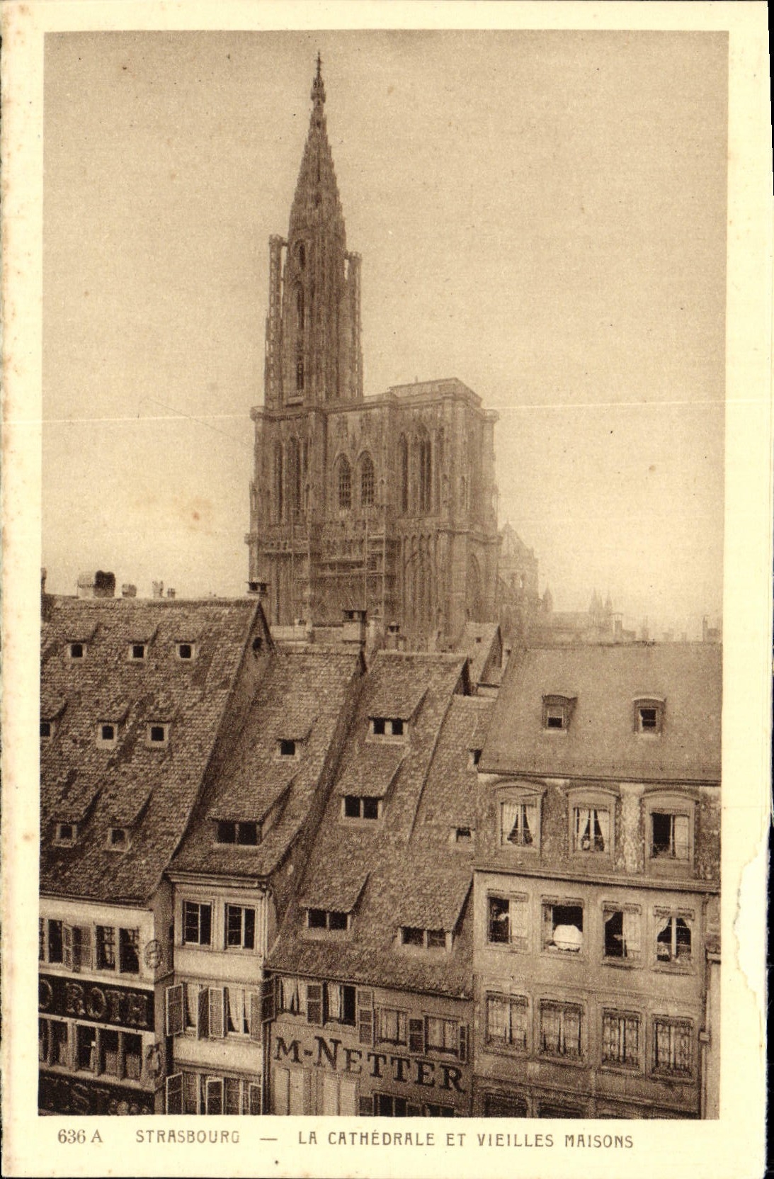 POSTAL Estrasburgo de la VENDIMIA la catedral y las casas viejas