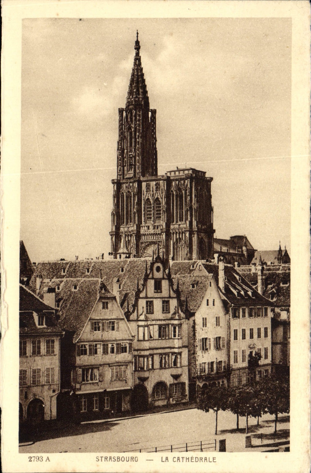 CPA Strasbourg La Cathedrale