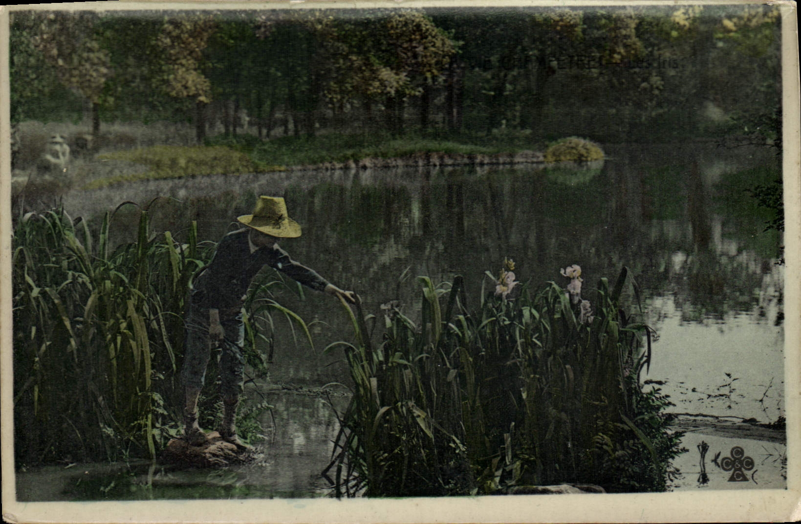 VINTAGE POSTCARD Child at the edge of a pond