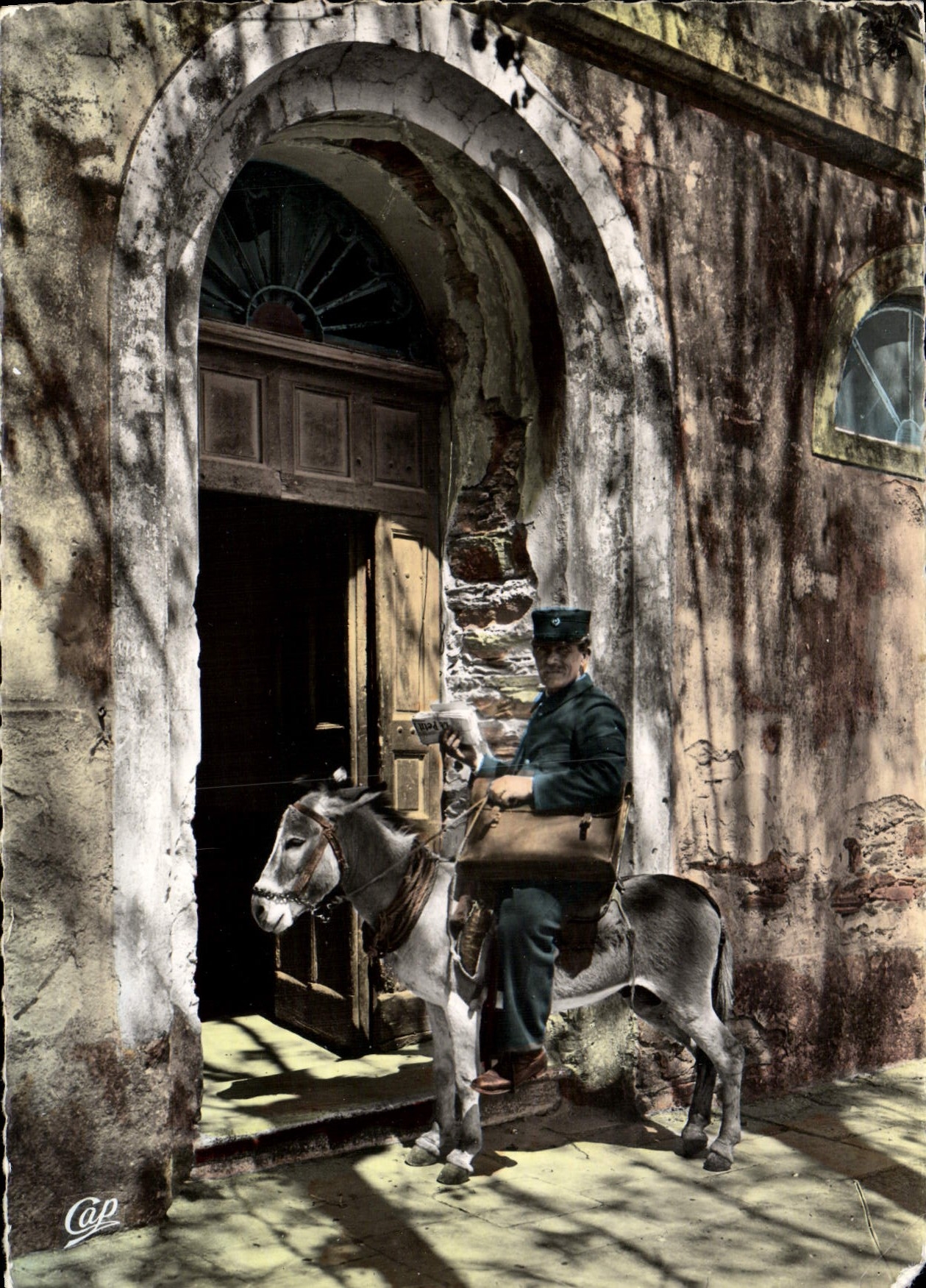 MODERN CARD Standard Corsicans the Factor Ass Corsica Mule