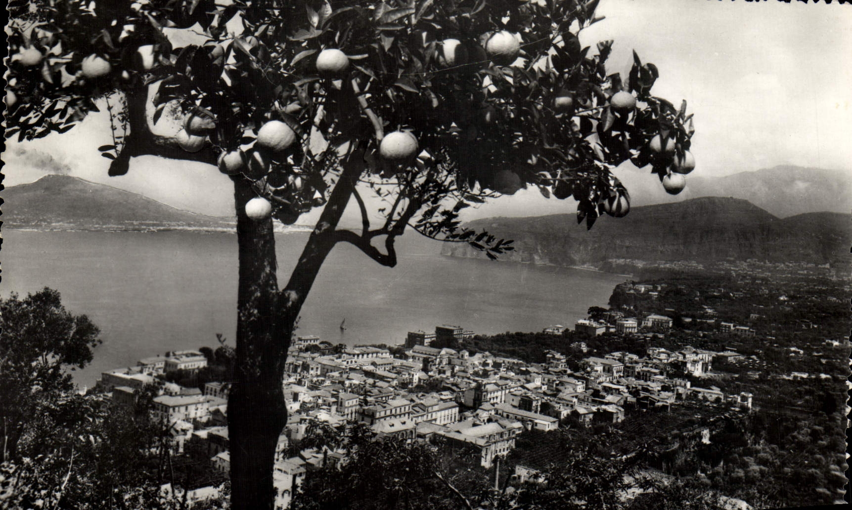 CPM Sorrento Panorama da S Antonio