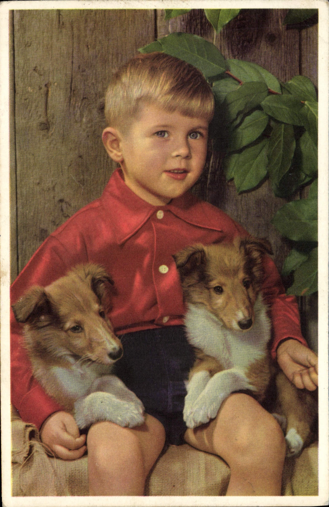 VINTAGE POSTCARD Happy New Year Dogs