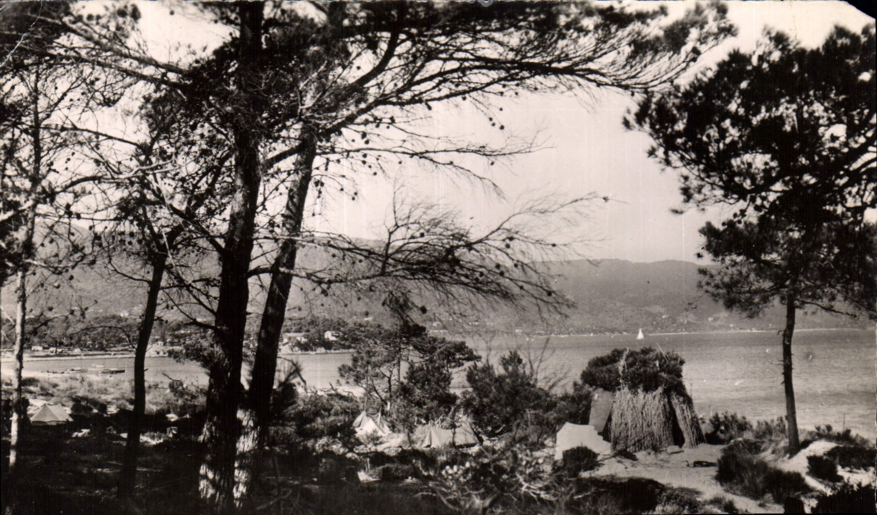 MODERN CARD Lavandou Faviere