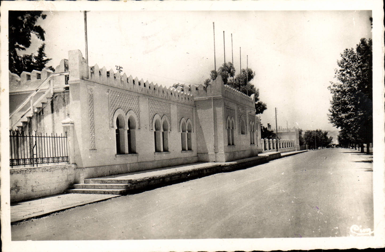 MODERN CARD Taza the State Major