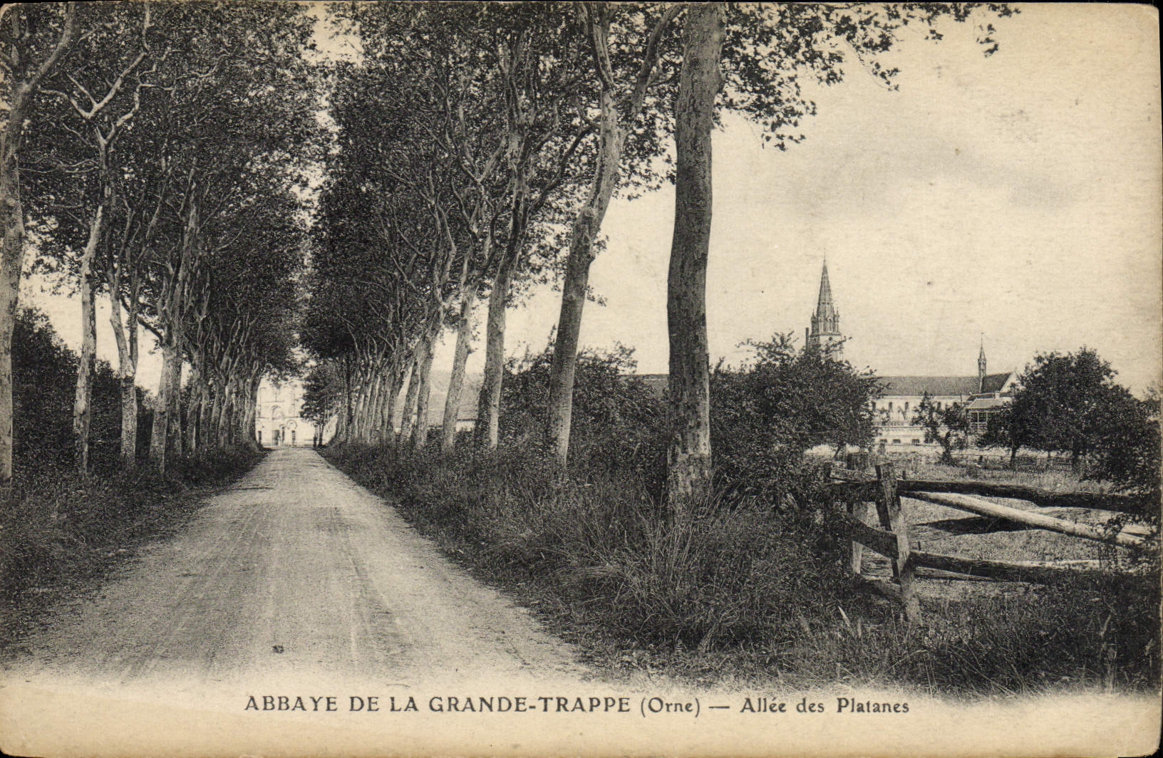 CPA Abbaye De La Grande Trappe Allee Des Platanes