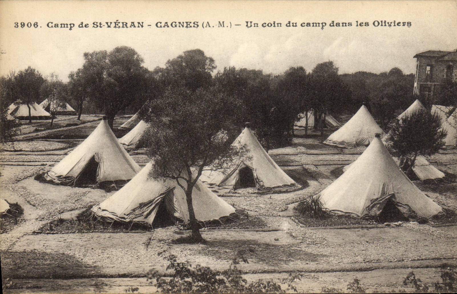 St Veran Cagnes de la POSTAL de la VENDIMIA una esquina del campo en los Aceituna-árboles de Militaria