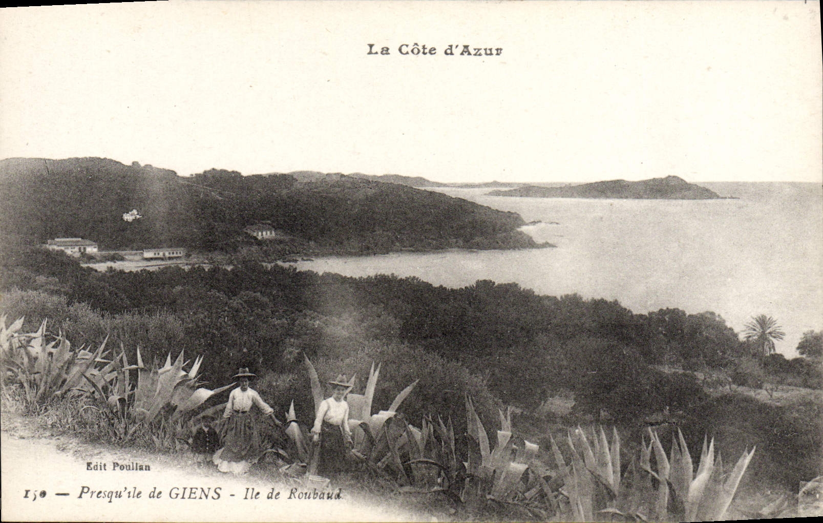 CPA Presqu'ile de Giens Ile De Roubaud