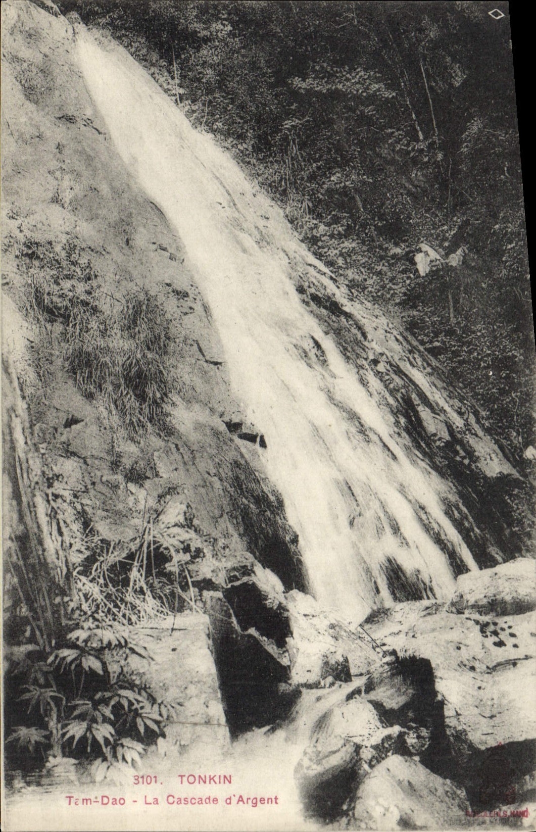 VINTAGE POSTCARD Tonkin Tem CAD the Money Cascade