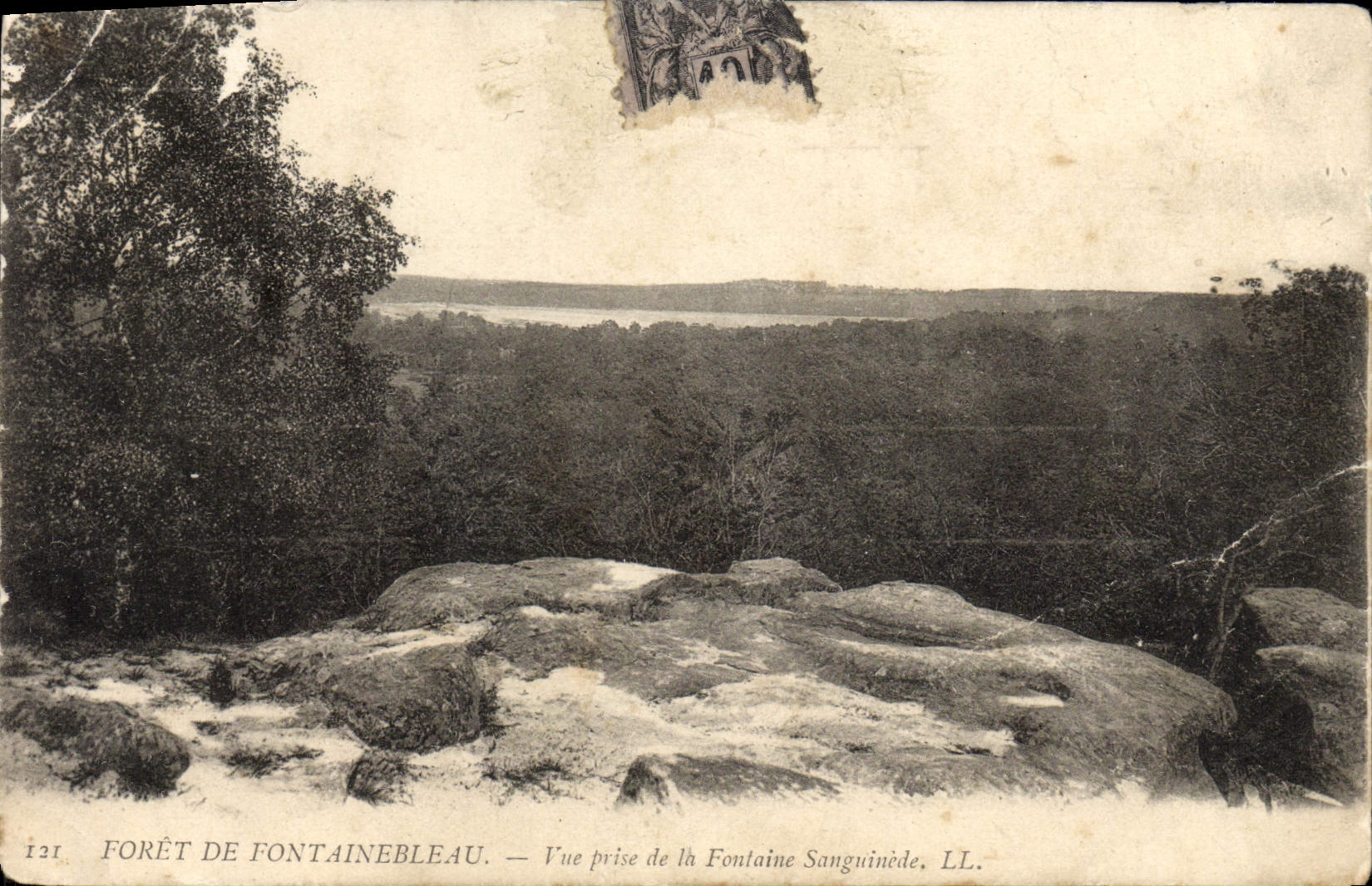 CPA Foret De Fontainebleau Vue Prise De la Fontaine Sanguinede