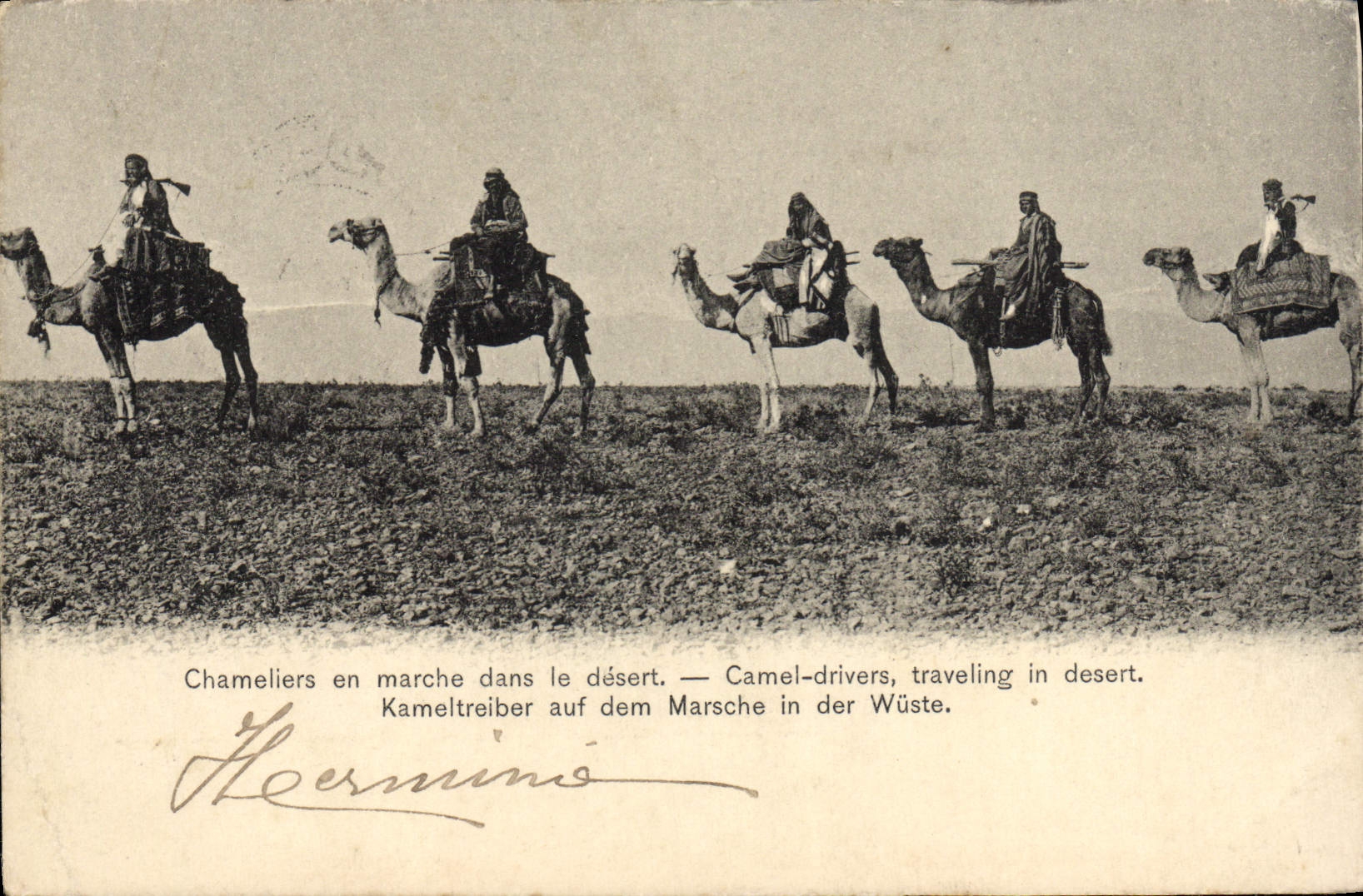 VINTAGE POSTCARD Chameliers Goes from There In Serves