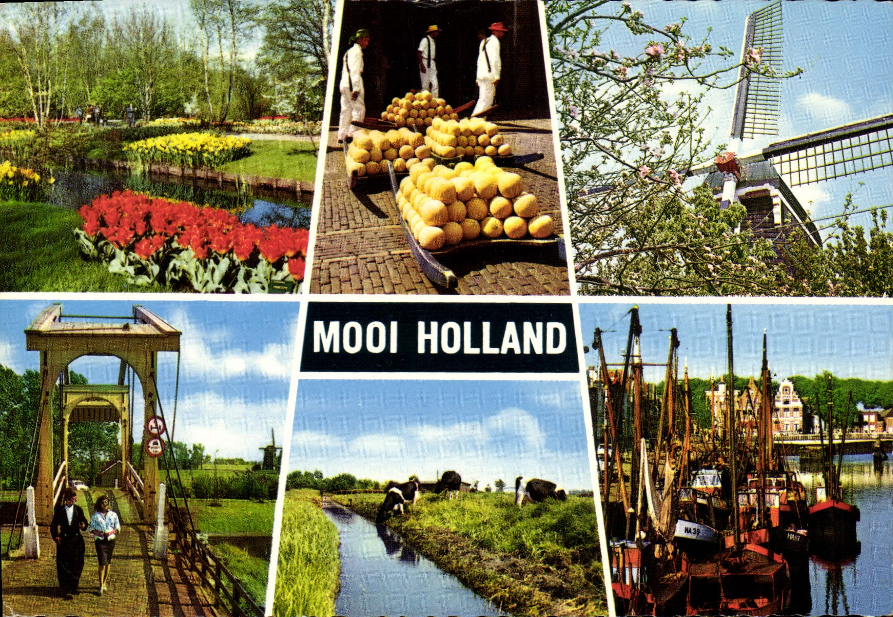 POSTAL MODERNA molino de viento de Modi Holanda