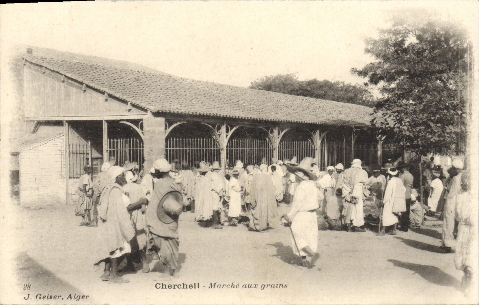 VINTAGE POSTCARD Cherchell Marche To Grains