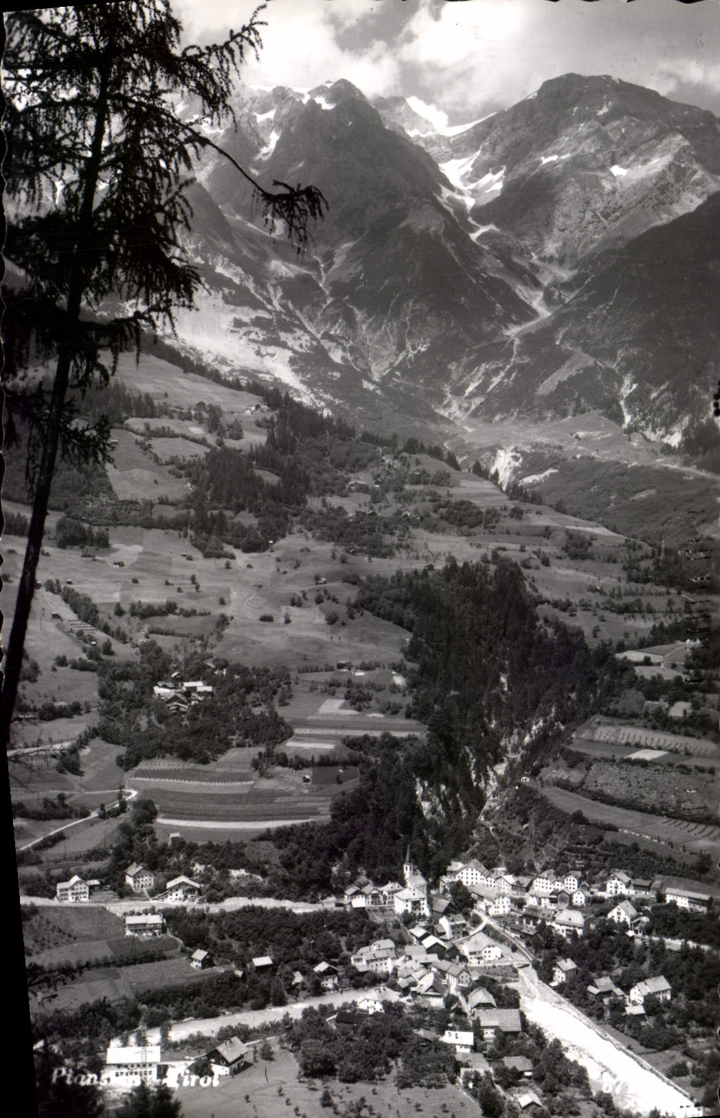 POSTAL de la VENDIMIA el Tyrol