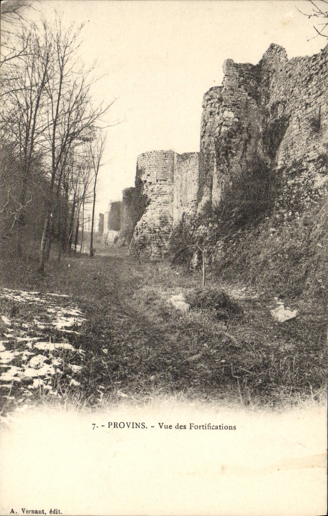 VINTAGE POSTCARD Layered branches Seen Of the Fortifications