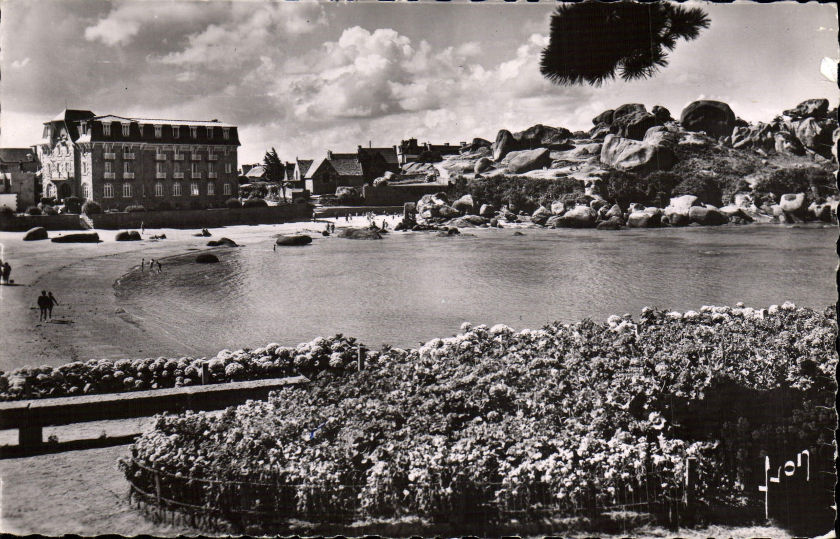 CPM Ploumanach La Plage Fleurie De Saint Guirec