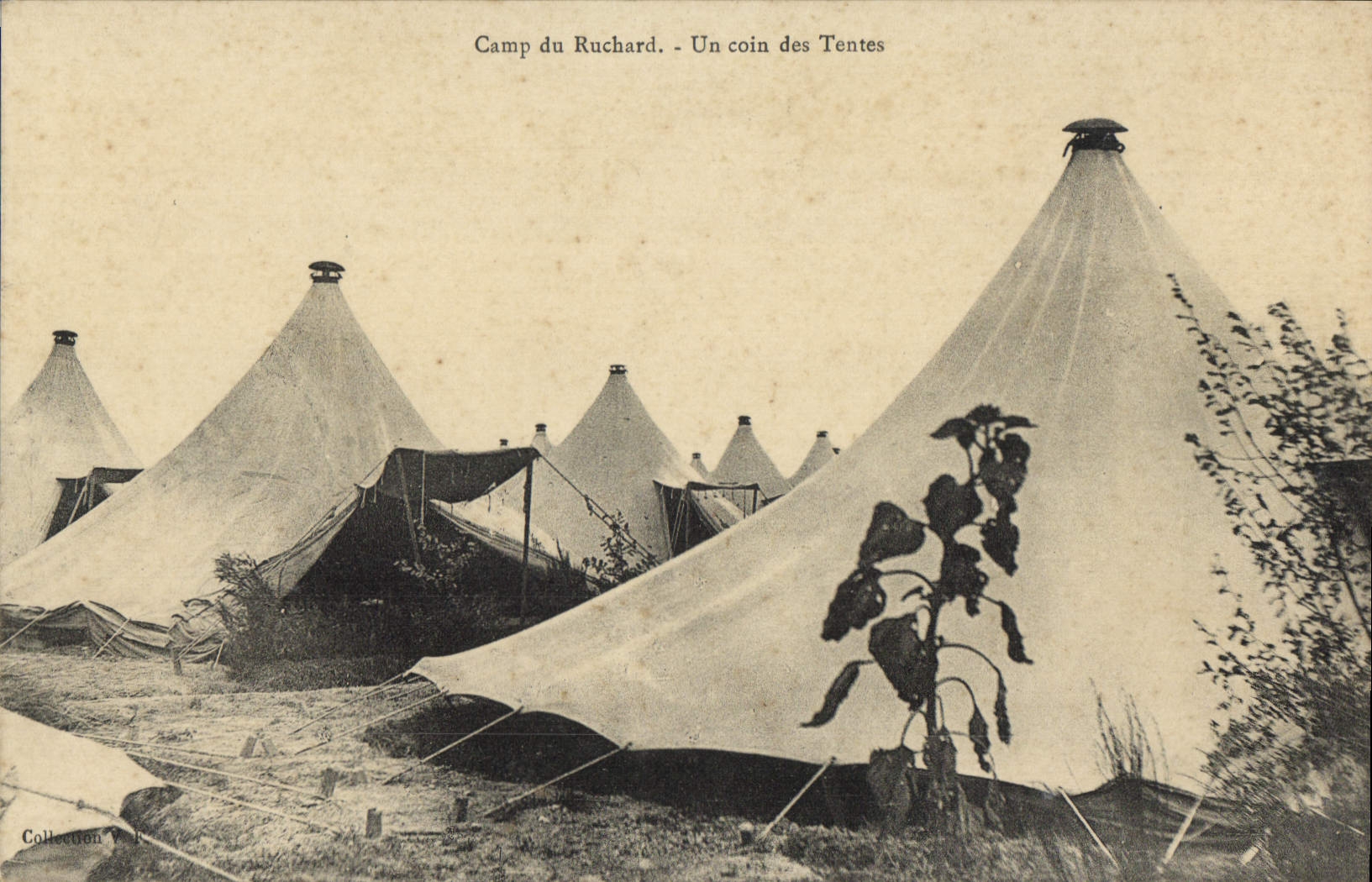 CPA Camp Du Ruchard Un Coin Des Tentes Militaria
