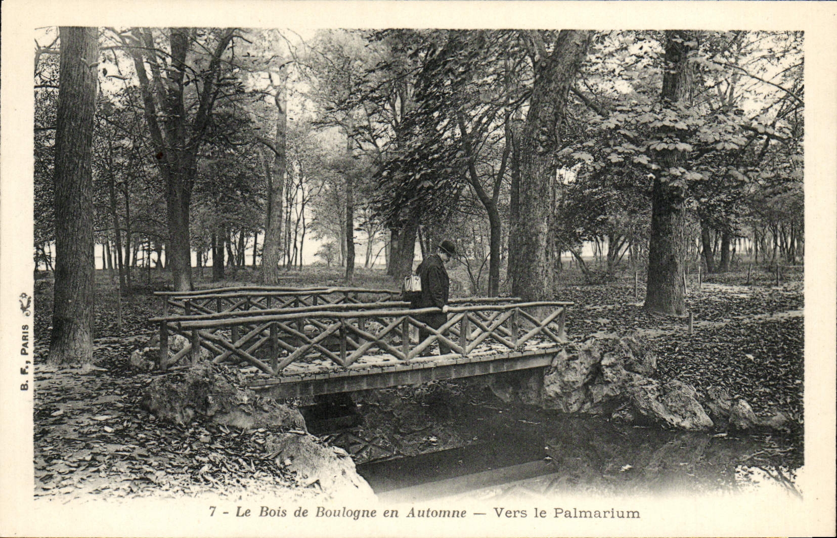 CPA Le Bois de Boulogne en Automne Vers le Palmarium