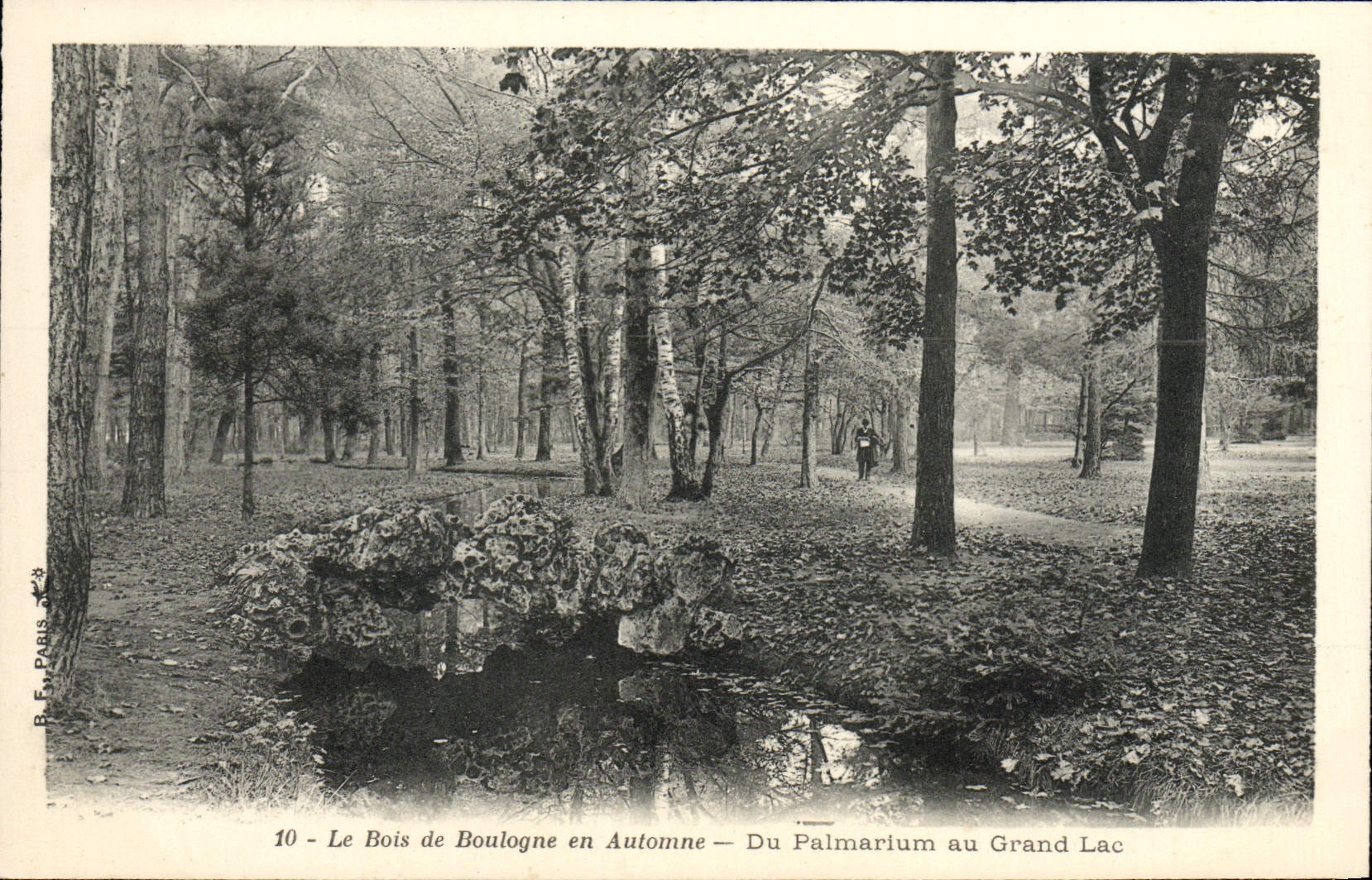 CPA Le Bois de Boulogne en Automne Du Palmairum au grand lac
