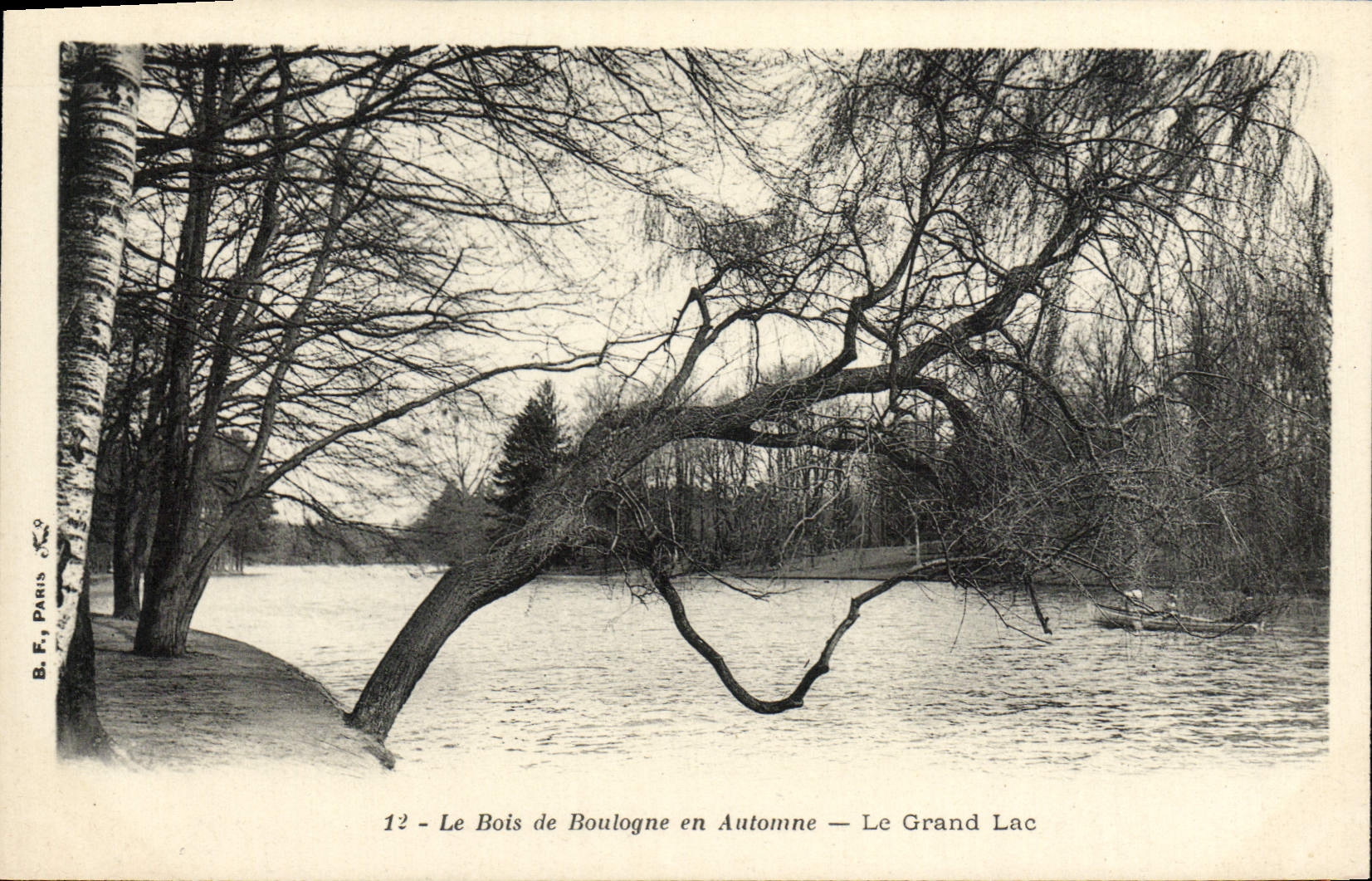 VINTAGE POSTCARD the Bois de Boulogne in Fall the Big lake