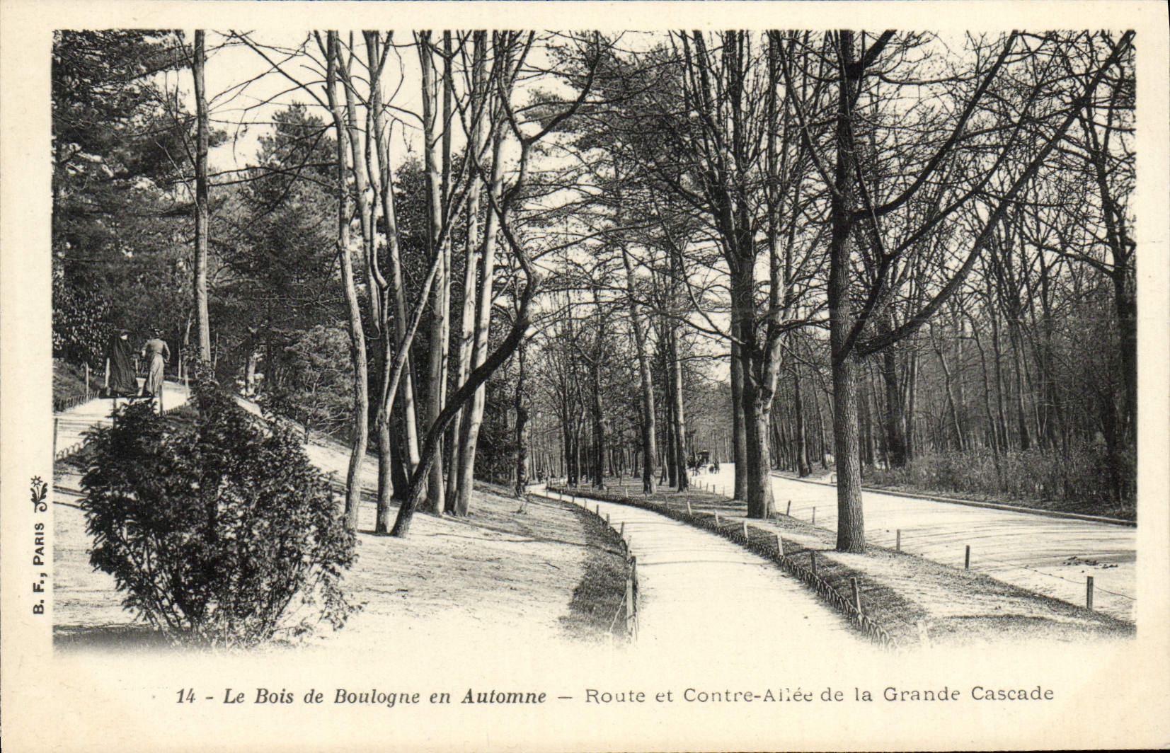 CPA Le Bois de Boulogne en Automne Route et Contre allee de la grande cascade