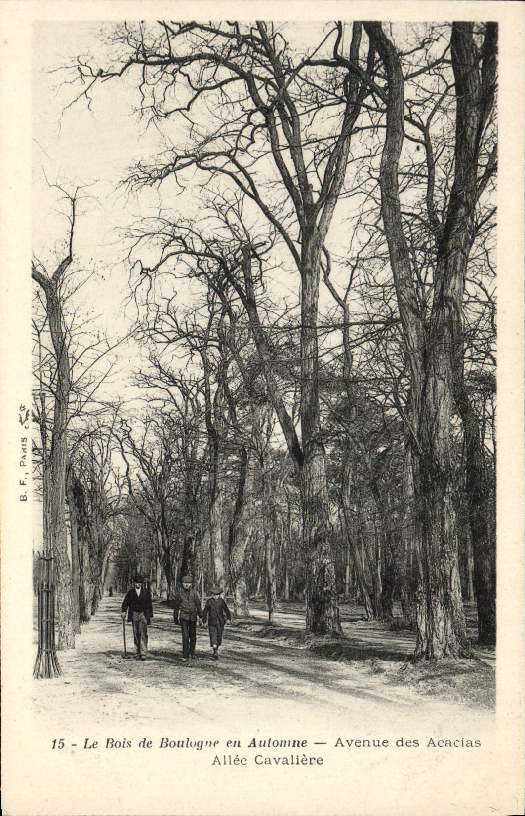 VINTAGE POSTCARD the Bois de Boulogne in Fall Avenue of the Acacias Gone cavaliere