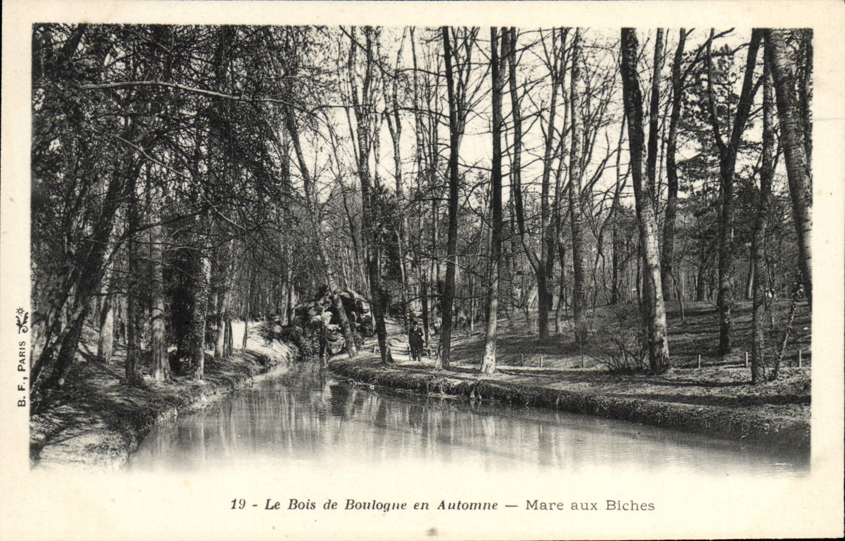 VINTAGE POSTCARD the Bois de Boulogne in Fall Pond with the Hinds